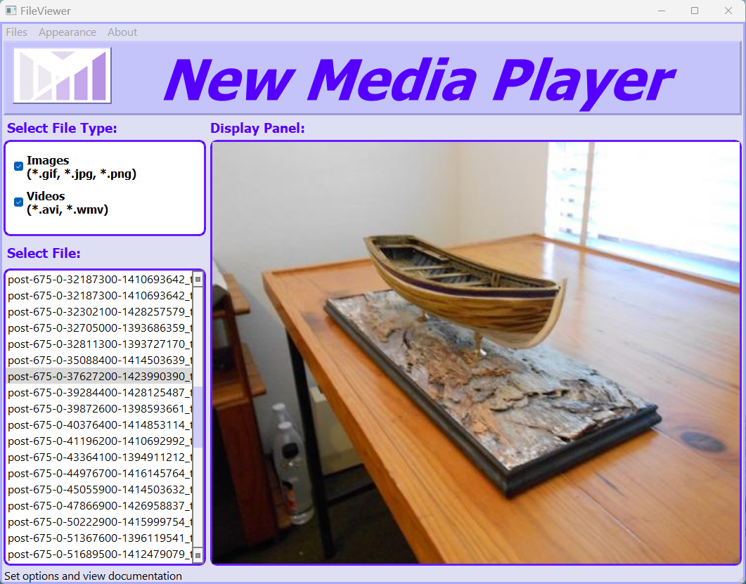 Screenshot of Video Player assessment