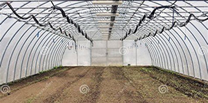 1970 - First greenhouses established.