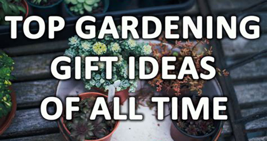 Gardening Gift ideas