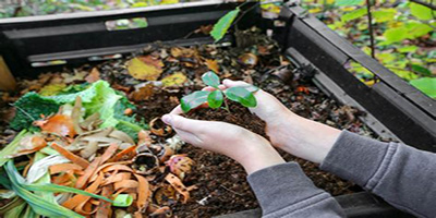 Composting the soil bed