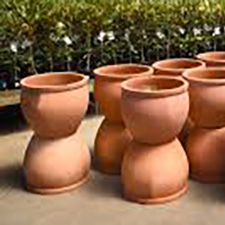 Medium-sized terracotta planter